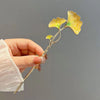 Ginkgo biloba