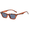 Gray frame with leopard print