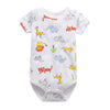 Short ha tiger lion / 3m(52cm)