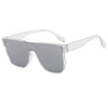 Transparent frame silver film