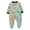 Fruit green dinosaur / 3m-12m 8 pieces in one hand