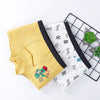 Nd412#boxer pants/2 packs / 110 yards