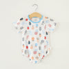 Qy004 pineapple / 66
