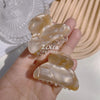 Single abalone shell / acetic acid