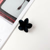 Black / plastic/resin