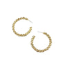 Diameter 5cm-golden 925 silver needle