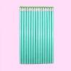 Bright light green [pencil with leather tip] / [bag] hb pencil