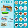 Sand panning set - ocean treasure hunt
