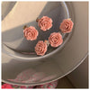 Roses (5 packs)