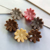 Tawny daisy mixed colors