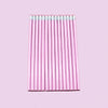 Bright purple powder [pencil with leather tip] / [bag] hb pencil