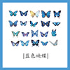 Blue butterfly