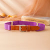 Pin buckle purple