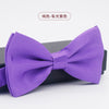 Solid color - glossy purple
