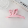 Frosted butterfly - pink / plastic/resin