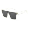 Transparent frame gray sheet
