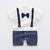 Back tie / 66 pure cotton