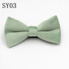 Sy03