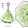 Green maple leaf