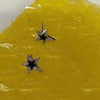 Black star stud earrings (one pair)