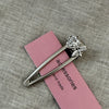 Silver hollow duckbill - rose