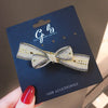 Fashion bow spring clip