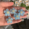 Blue cherry blossoms (5 packs)