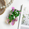 Bear bracket-color radium real flower-madou grass
