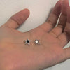 Black and white star stud earrings (a pair)