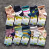 Cardboard baby socks / 0-6 months