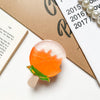 Transparent stand-fruit popsicle-orange