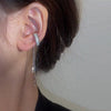 Silver left ear