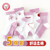 3209—lace fawn / s 1-3 years old (18-22) code