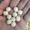 Ivory white