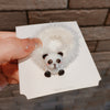 4-a16 white panda