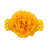 Natural yellow