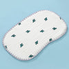 Cactus-cloud pillow / 25*40cm