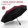 Claret / [vinyl upgrade model] 8 bone fully automatic