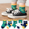 Ds dinosaur world five pairs / 1-3 years old (recommended foot length 12-14 cm)