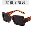 Leopard print all gray piece