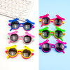 Bird sunglasses