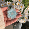 Blue camellia (single)