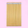 Bright orange [pencil with leather tip] / [bag] hb pencil
