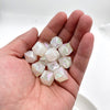 16mm fine flash - white