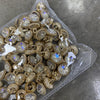 4#【millennium tooth edge moonlight white】 / 12mm【weight 1.1g】
