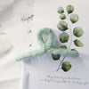Green - gauze