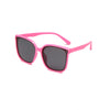 C28 powder frame