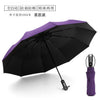 Purple-vinyl