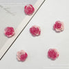 Pink / 10mm