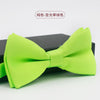 Solid color - matte grass green